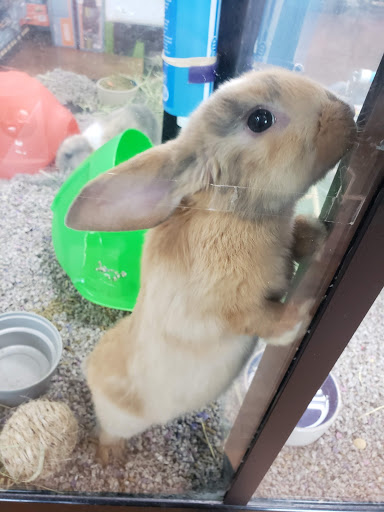 Pet Supply Store «Pet Valu», reviews and photos, 200 Biggs Blvd, Harrison, OH 45030, USA