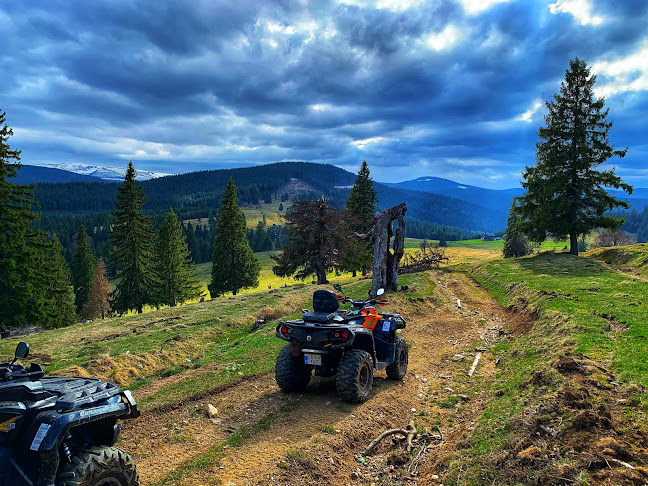 Traxilvania Wild Tours - Închiriere de mașini