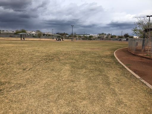 Pioneer Community Park: Dog Park