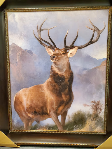 Department Store «HomeGoods», reviews and photos, 9 Kilton Rd, Bedford, NH 03110, USA