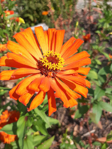 Nature Preserve «W w Knight Nature Preserve», reviews and photos, 29530 White Rd, Perrysburg, OH 43551, USA