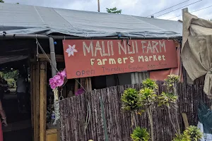 Maui Nui Farms Farmers Market image