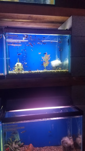 Tropical Fish Store «Midway Tropical Fish & Pets», reviews and photos, 24101 Pacific Hwy S, Kent, WA 98032, USA