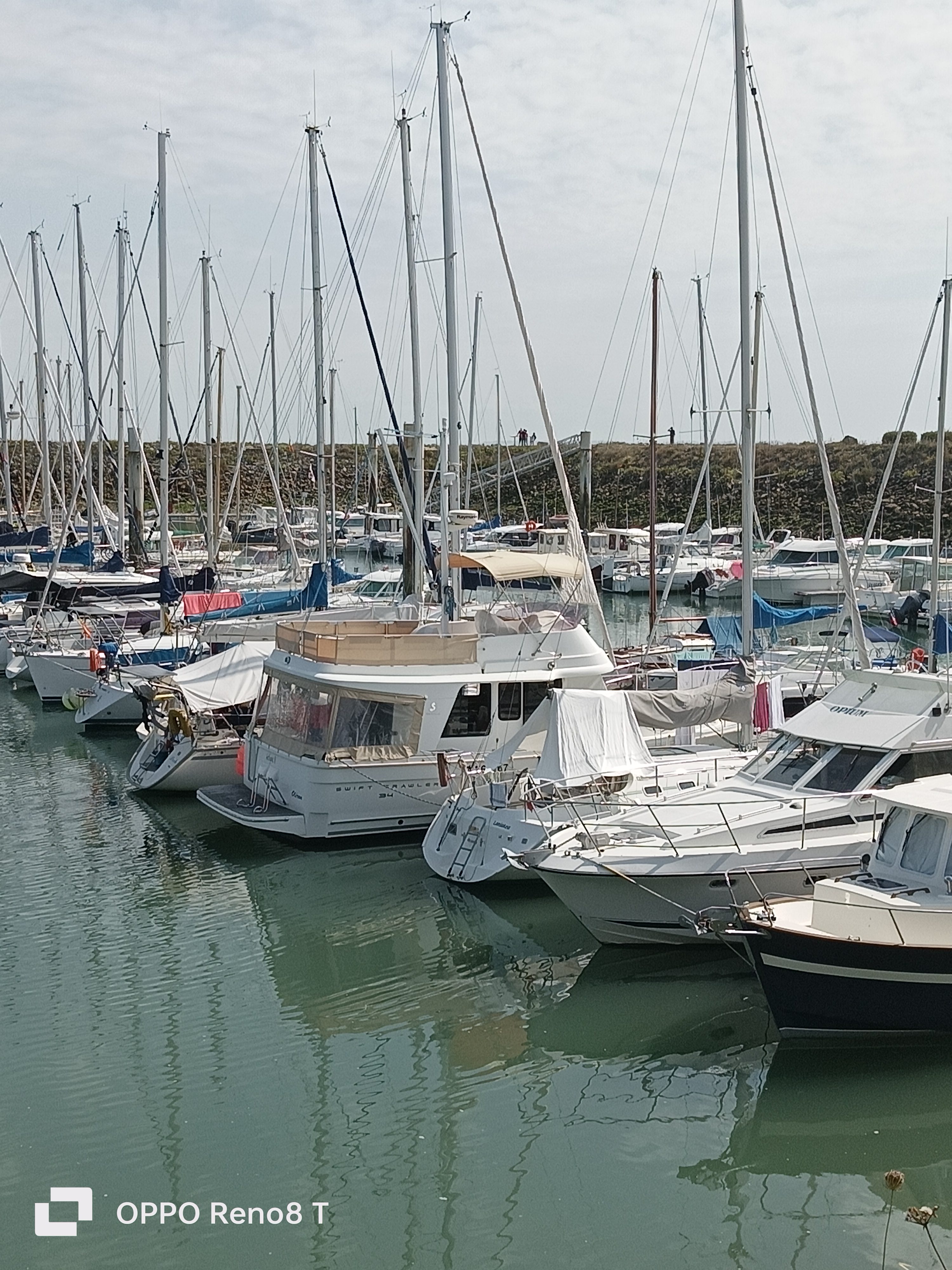 Photo n° 2 de l'avis de M-G. fait le 17/08/2023 à 12:46