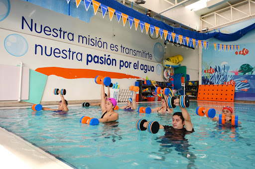 Clases natacion bebes Ciudad de Mexico