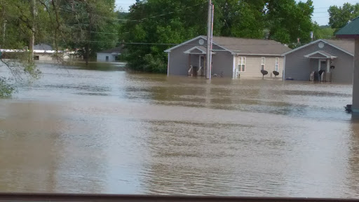 Discount Store «Dollar General», reviews and photos, 505 E Osage St, Pacific, MO 63069, USA