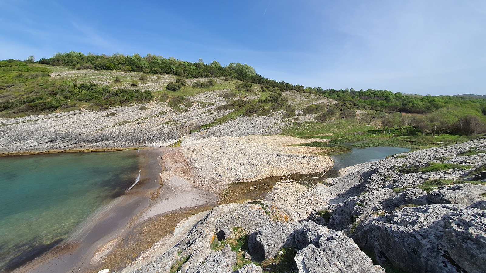 Fotografija Zeus Koyu nahaja se v naravnem okolju