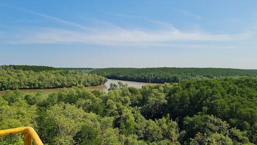 Top 20 cửa hàng play Huyện Cần Giờ Hồ Chí Minh 2022