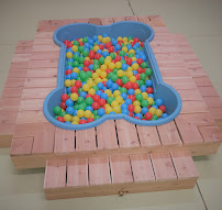 Yuma Pet Hotel and Resort - Photo 7 - Car repair in Yuma, AZ, Yuma