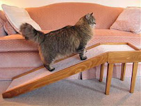 C & D Pet Products - Photo 3 - Car repair in Petaluma, CA, Santa Rosa