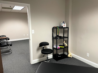 Performance Health Clinics South Tampa: Chiropractic and Physical Rehabilitation