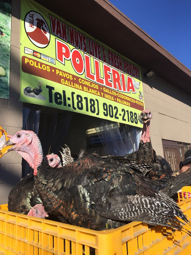 Chicken hatchery Pasadena