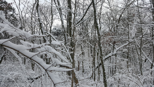 Park «Gregory Mill Park», reviews and photos, 390 Enon Springs Rd E, Smyrna, TN 37167, USA