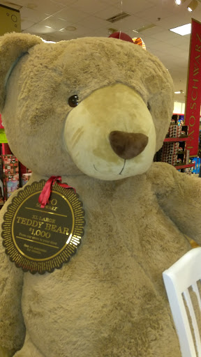 Department Store «Bon-Ton», reviews and photos, 443 E Main St, Westfield, MA 01085, USA