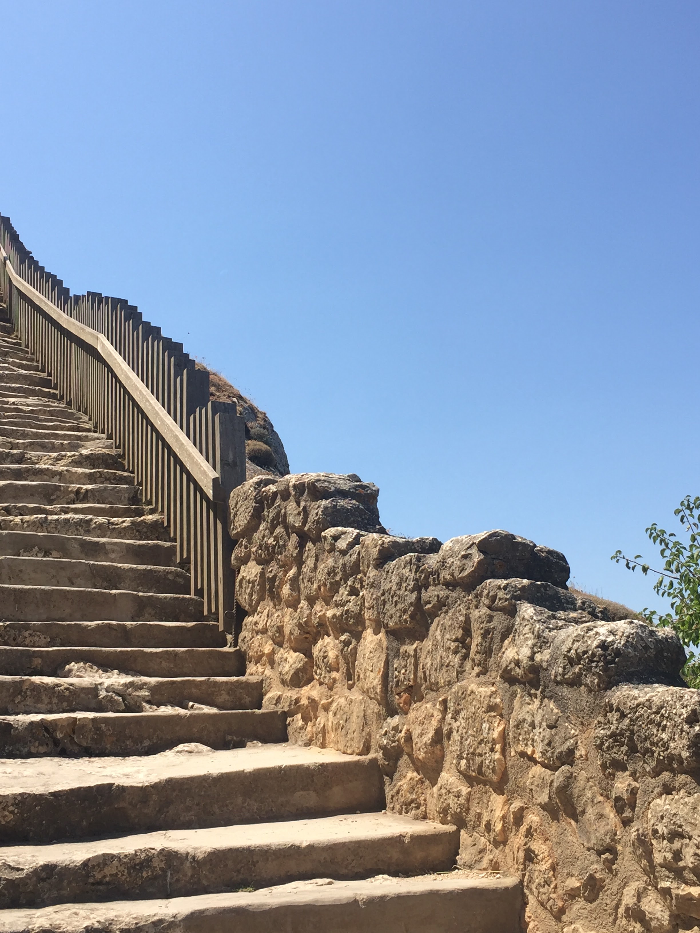 Photo n° 39 de l'avis de Renata.A fait le 29/07/2022 à 08:43