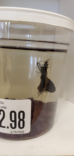 Pet Supply Store «Pet Supplies Plus», reviews and photos, 410 Springfield Ave, Berkeley Heights, NJ 07922, USA