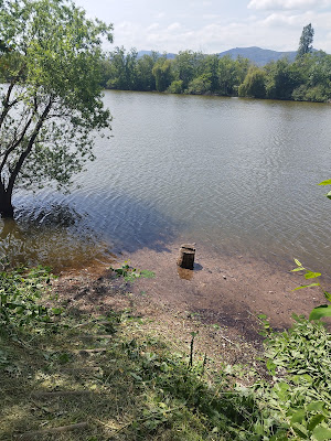 Etangs d'Ingersheim à Ingersheim