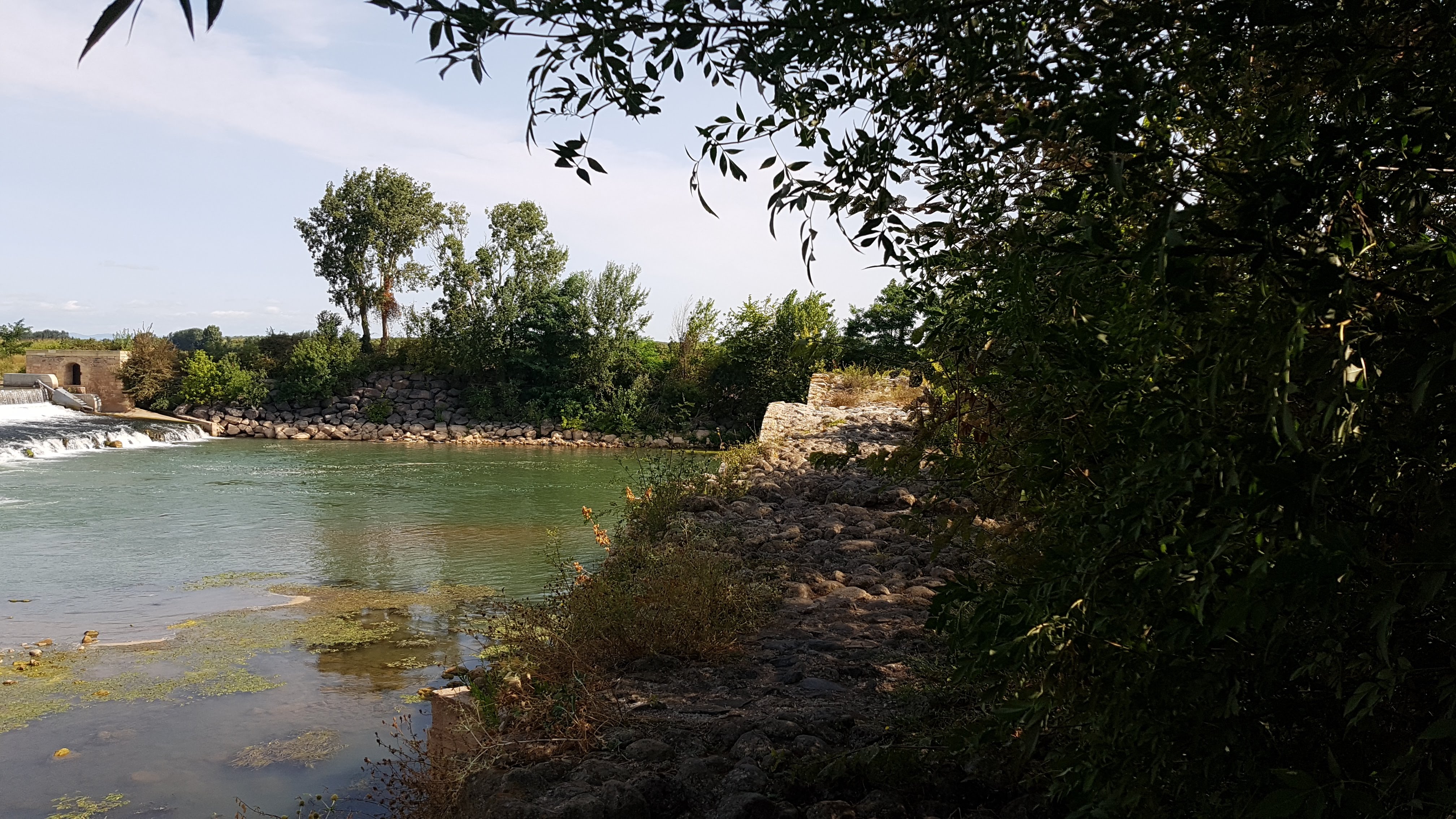 Photo n° 2 de l'avis de Canis.u fait le 26/08/2018 à 07:34