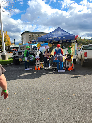 Community Center «Pigeon Forge Community Center», reviews and photos, 170 Community Center Dr, Pigeon Forge, TN 37863, USA