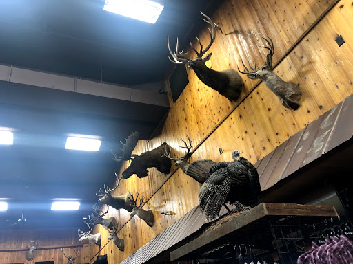 Sporting Goods Store «Nichols Store», reviews and photos, 1980 Mt Holly Rd, Rock Hill, SC 29730, USA