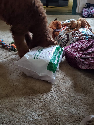 Pet Supply Store «Pet Supplies Plus», reviews and photos, 3040 Cromer Ave NW, Canton, OH 44709, USA