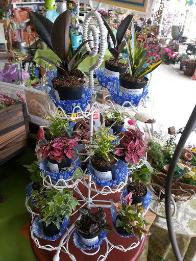 Garden Center «Distinctive Gardens», reviews and photos, 1531 Telegraph Rd, West Chester, PA 19380, USA