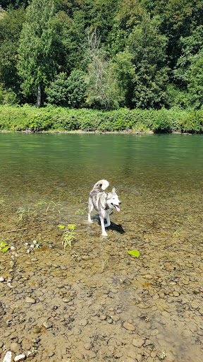 Golf Club «Echo Falls Golf Club», reviews and photos, 20414 121st Ave SE, Snohomish, WA 98296, USA