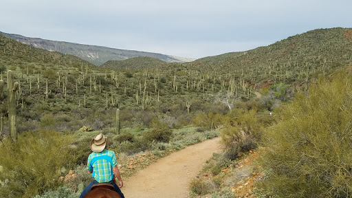 Horseback Riding Service «Spur Cross Stables», reviews and photos, 44029 N Spur Cross Rd, Cave Creek, AZ 85331, USA