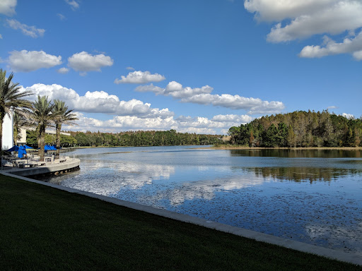 Insurance Agency «MetLife», reviews and photos