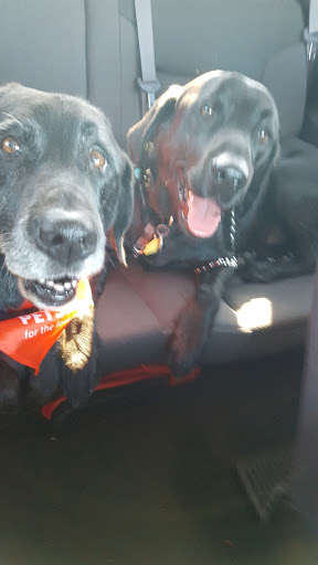 Pet Supply Store «PetSmart», reviews and photos, 6243 College Dr, Suffolk, VA 23435, USA