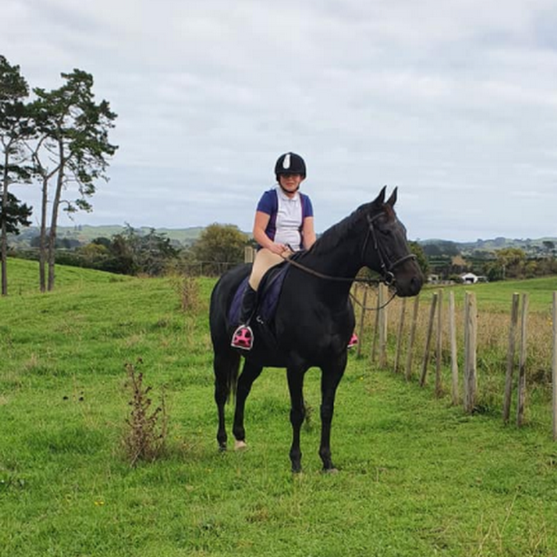 Silver Fern Riding Stables