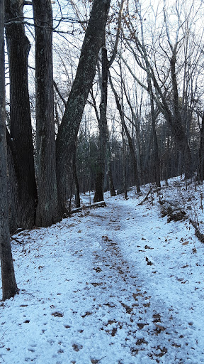 Nature Preserve «Gummere Woods And Marsters Preserve Trail», reviews and photos, 4 Wheeler Rd, North Grafton, MA 01536, USA