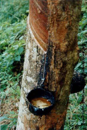 Mattress Store «The Organic Mattress Store», reviews and photos, 1075 Main St, Hellertown, PA 18055, USA