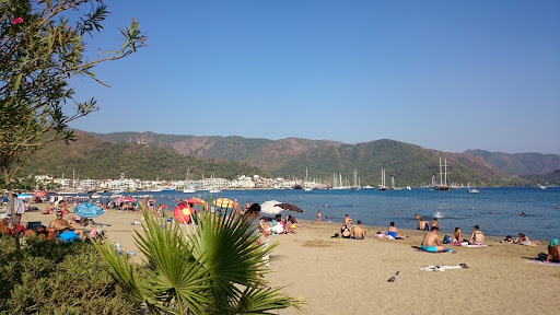 Yurtiçi Kargo Armutalan