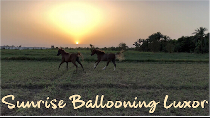Sunrise Ballooning Luxor Hot Air Balloon