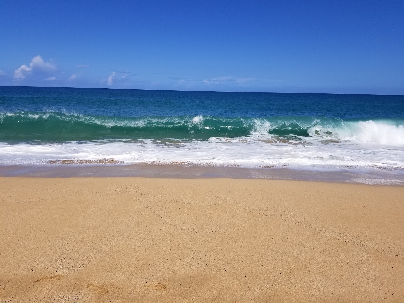Foto di Lumaha'i Beach e il suo bellissimo paesaggio