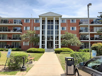 Cathy Yanda, Local Real Estate Agent, Baird & Warner - Photo 4 - Car repair in Oak Park, IL, Chicago