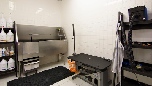 Pet Supply Store «Purely Pets», reviews and photos, 13723 23 Mile Rd, Shelby Charter Township, MI 48315, USA