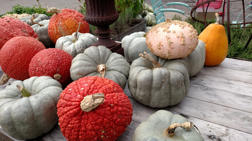 Grocery Store «Locally Grown Gardens», reviews and photos, 1050 E 54th St, Indianapolis, IN 46220, USA