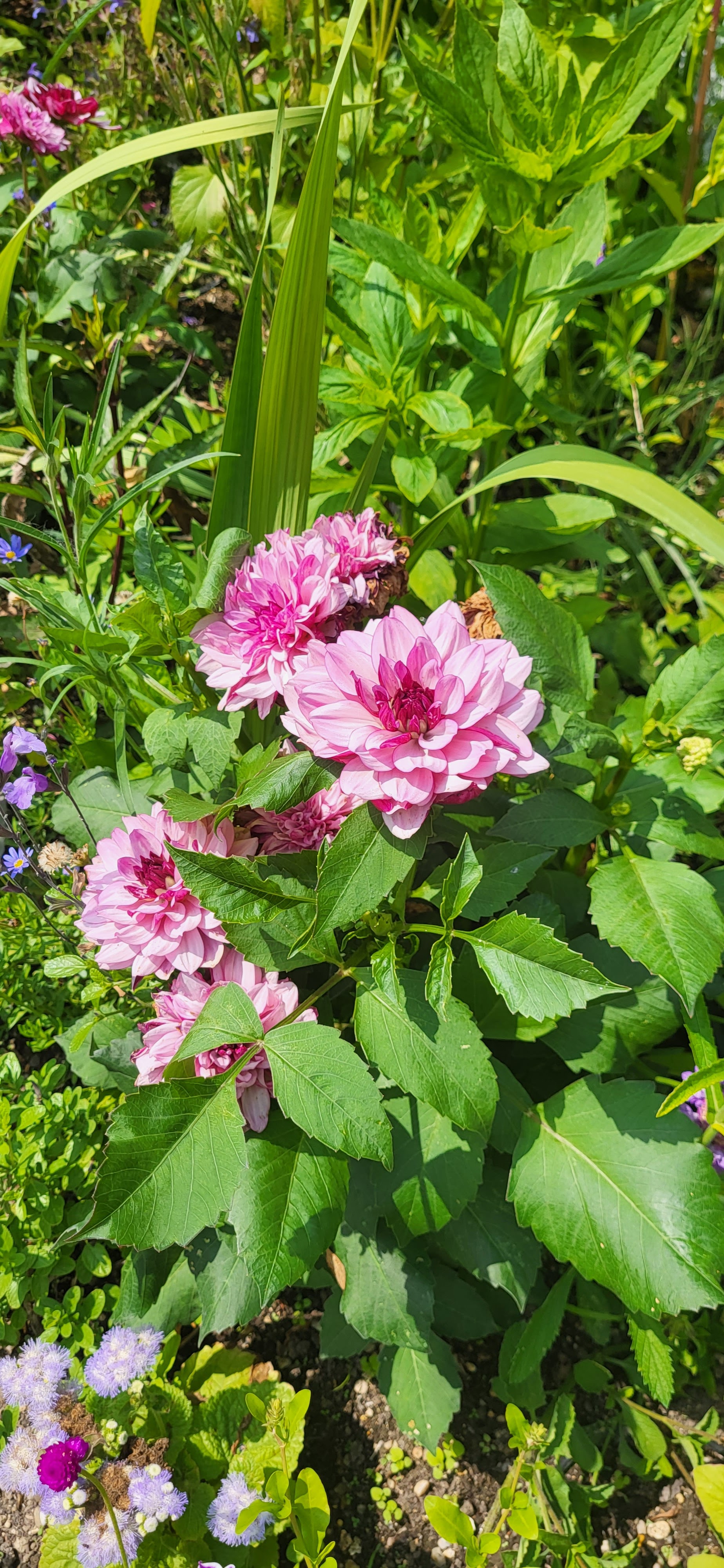 Photo n° 1 de l'avis de Clem.A fait le 13/07/2023 à 13:31