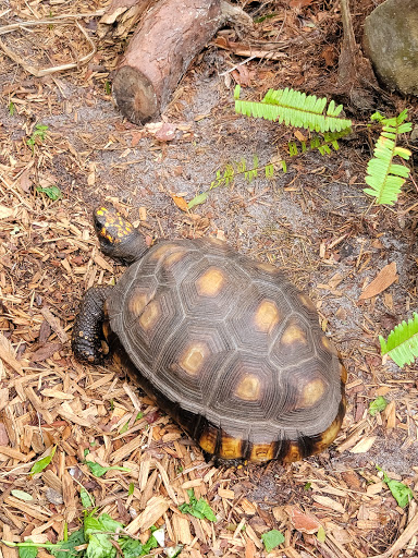 Park «George C. McGough Nature Park - The Narrows», reviews and photos, 11901 146th St N, Largo, FL 33774, USA