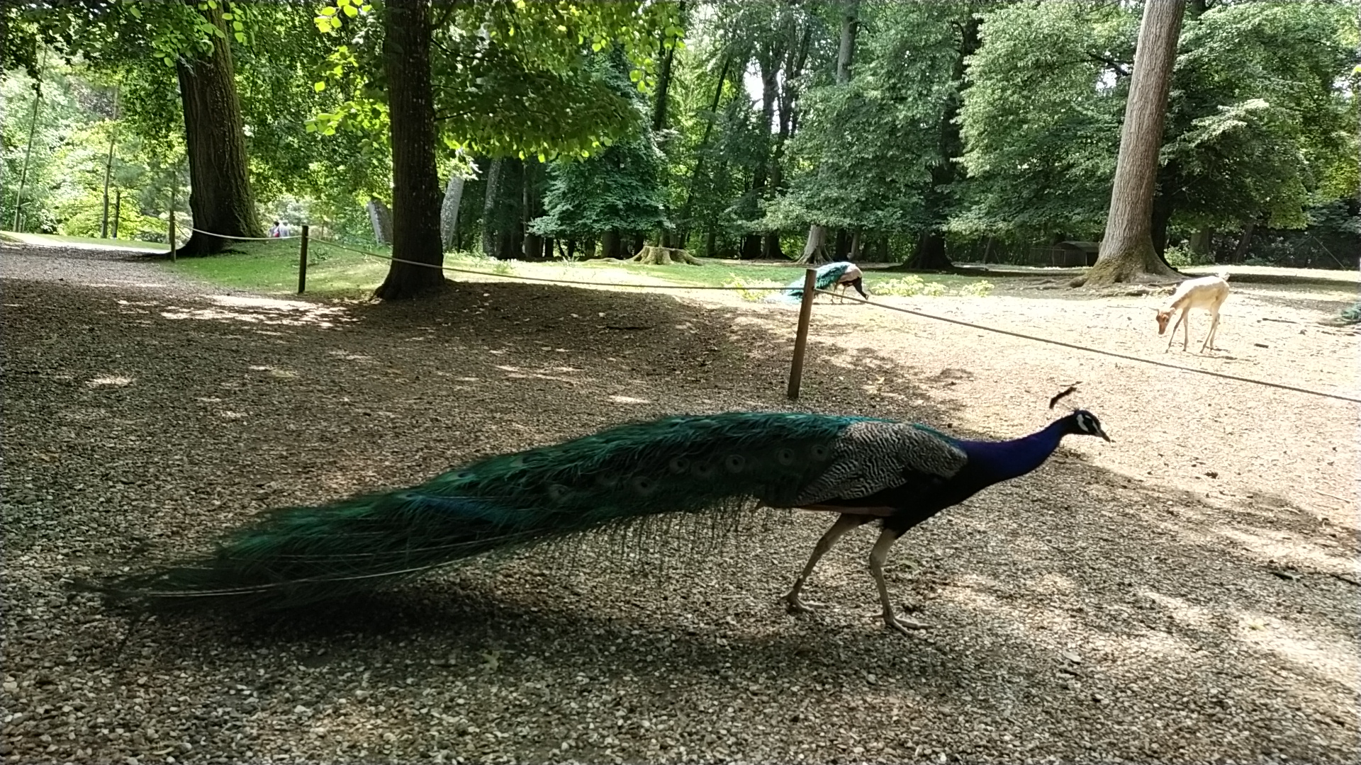 Photo n° 5 de l'avis de Amandine.a fait le 03/07/2023 à 22:00