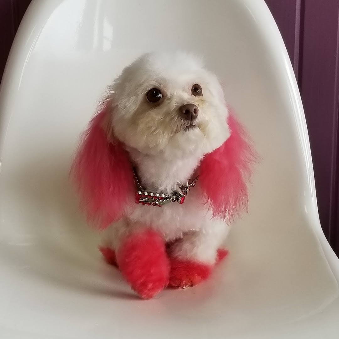 Resa's K-9 Salon