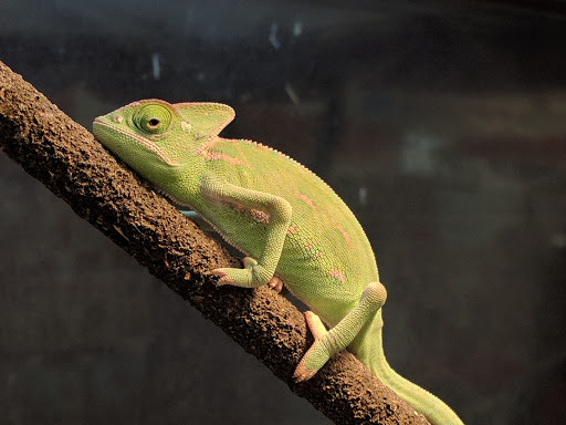 Pet Supply Store «Petco Animal Supplies», reviews and photos, 14051 Aldrich Ave S, Burnsville, MN 55337, USA