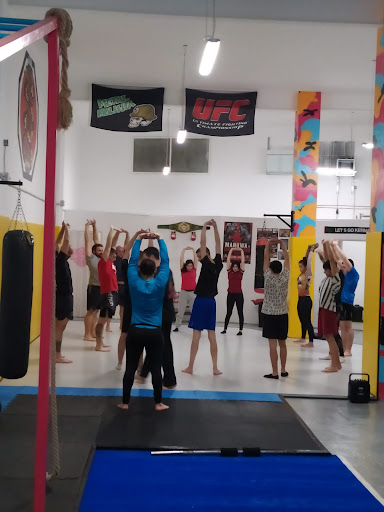 Hibera Ludus - Fight Academy en Tortosa, Tarragona