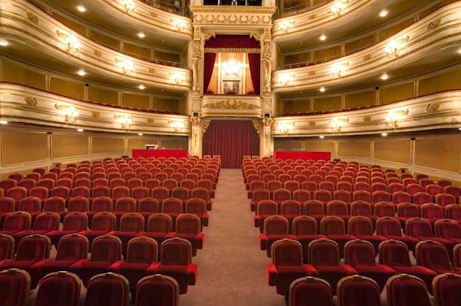 Teatro Nacional D. Maria II - Cinema