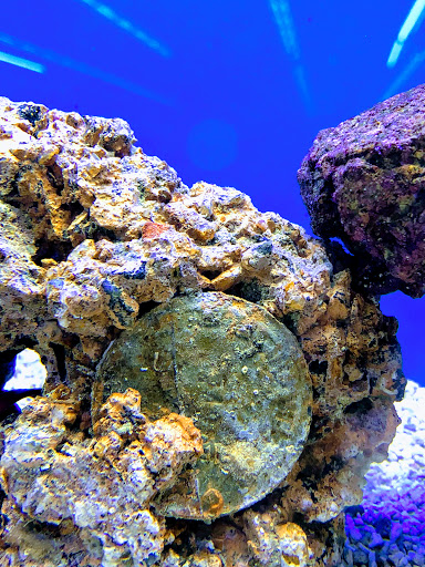 Pet Supply Store «Petco Animal Supplies», reviews and photos, 244 Pioneer Trail, Chaska, MN 55318, USA