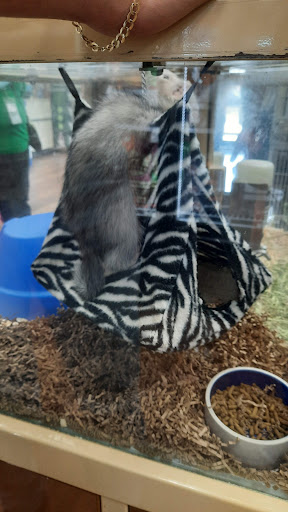 Pet Supply Store «Pet Supermarket», reviews and photos, 1800 W 68th St #140, Hialeah, FL 33014, USA