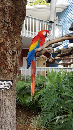 T-shirt Store «Salty Dog T-Shirt Factory», reviews and photos, 232 S Sea Pines Dr #305, Hilton Head Island, SC 29928, USA