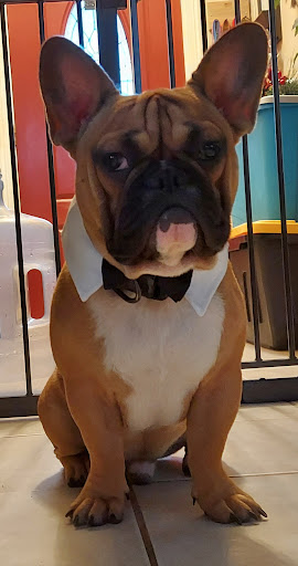 Video Game Store «GameStop», reviews and photos, 808 S Shary Rd STE 1, Mission, TX 78572, USA